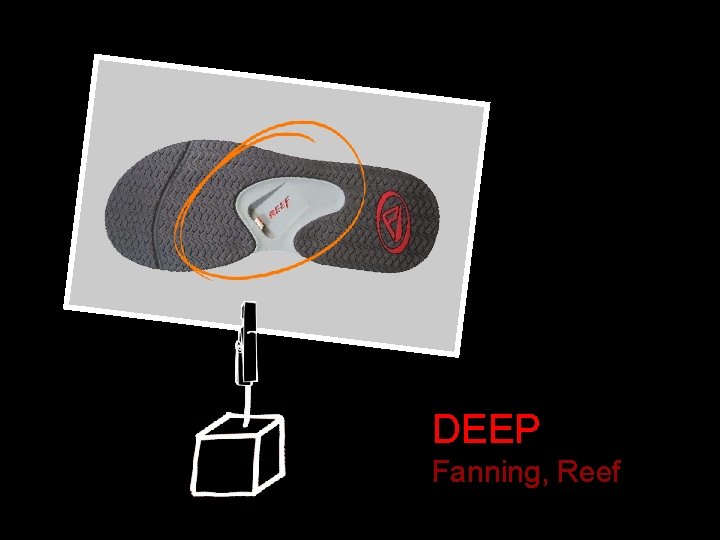 DEEP Fanning, Reef 