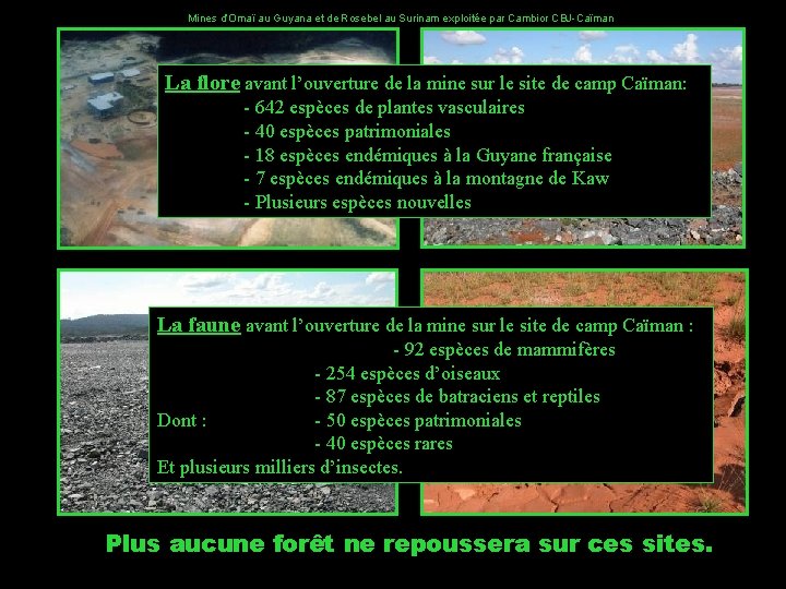 Mines d’Omaï au Guyana et de Rosebel au Surinam exploitée par Cambior CBJ-Caïman La Mines d’Omaï au Guyana et de Rosebel au Surinam exploitée par Cambior CBJ-Caïman La