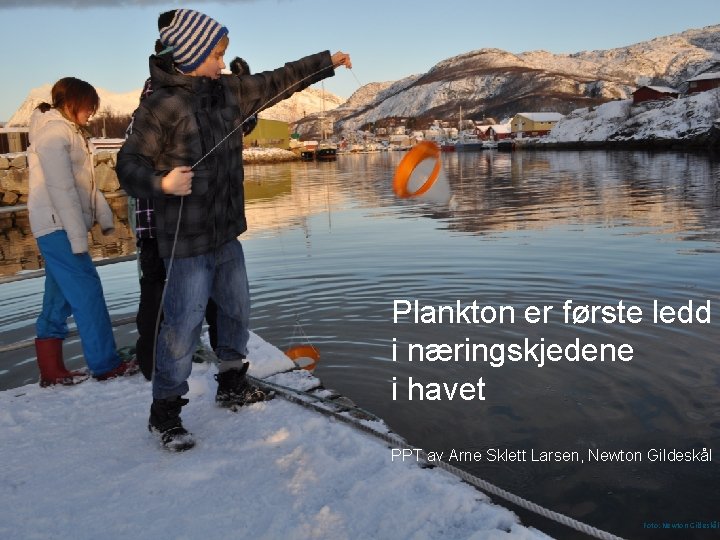 Plankton er første ledd i næringskjedene i havet PPT av Arne Sklett Larsen, Newton