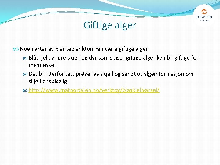 Giftige alger Noen arter av planteplankton kan være giftige alger Blåskjell, andre skjell og