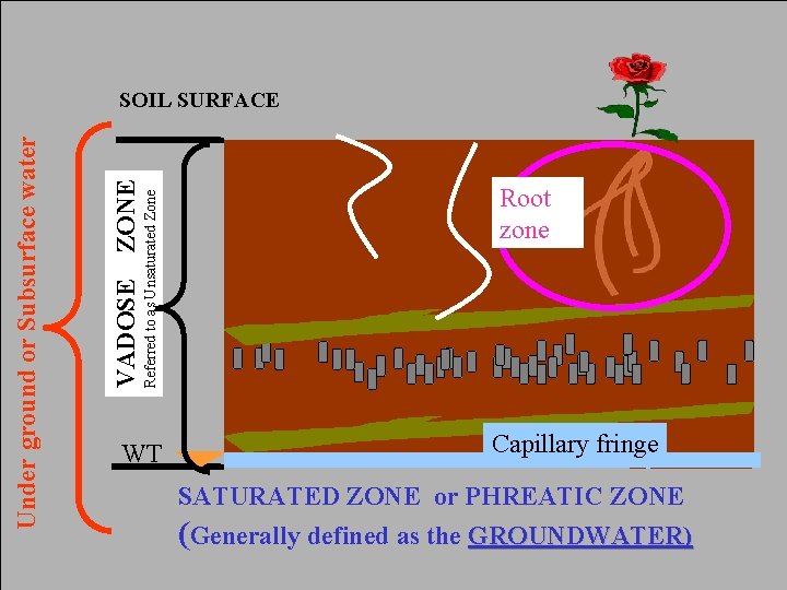 Referred to as Unsaturated Zone ZONE VADOSE Under ground or Subsurface water SOIL SURFACE