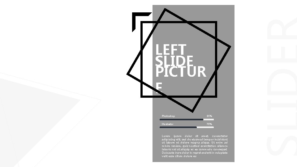 LEFT SLIDE PICTUR E Photoshop 85% Illustrator 70% Lorem ipsum dolor sit amet, consectetur