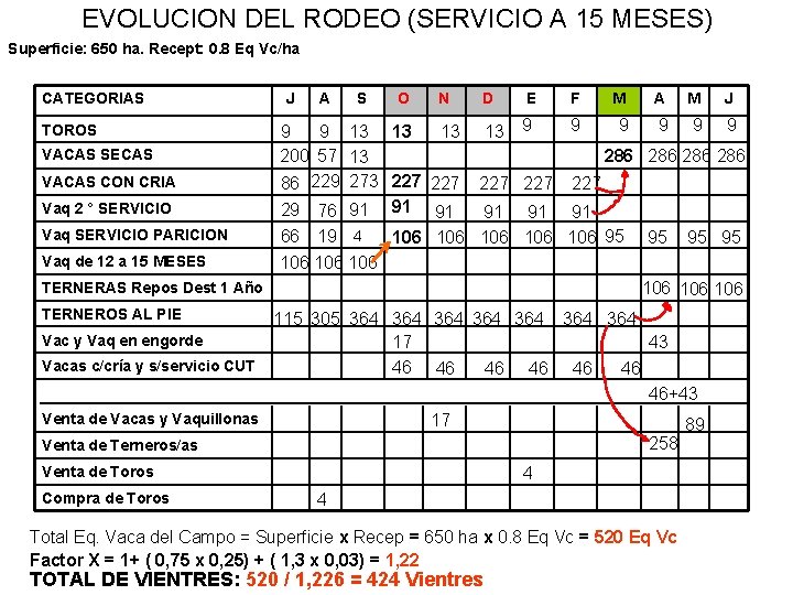EVOLUCION DEL RODEO (SERVICIO A 15 MESES) Superficie: 650 ha. Recept: 0. 8 Eq