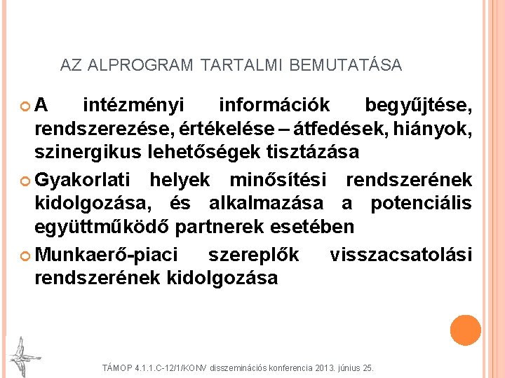 AZ ALPROGRAM TARTALMI BEMUTATÁSA A intézményi információk begyűjtése, rendszerezése, értékelése – átfedések, hiányok, szinergikus