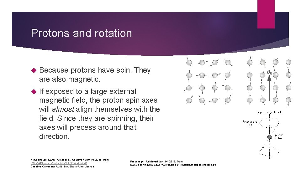 Protons and rotation Because protons have spin. They are also magnetic. If exposed to