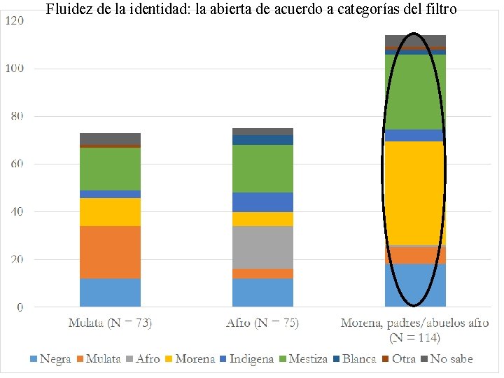 Fluidez de la identidad: la abierta de acuerdo a categorías del filtro 