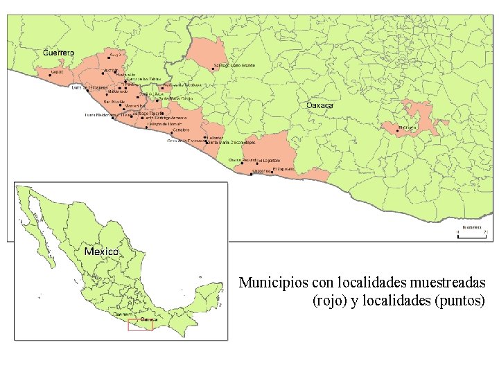 Municipios con localidades muestreadas (rojo) y localidades (puntos) 