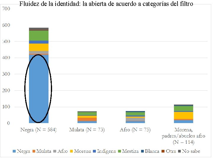 Fluidez de la identidad: la abierta de acuerdo a categorías del filtro 