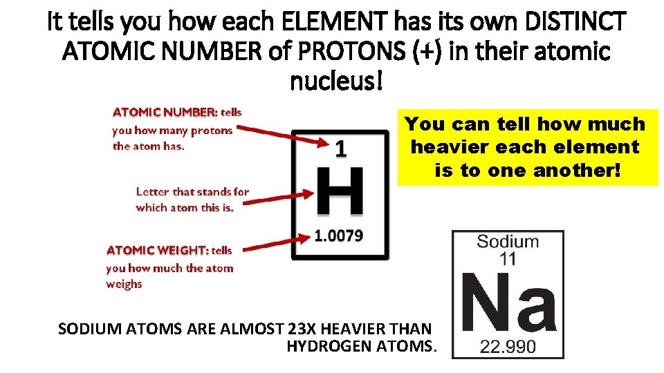 It tells you how each ELEMENT has its own DISTINCT ATOMIC NUMBER of PROTONS