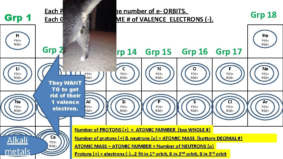 Grp 1 Each PERIOD (row) = same number of e- ORBITS. Each GROUP has