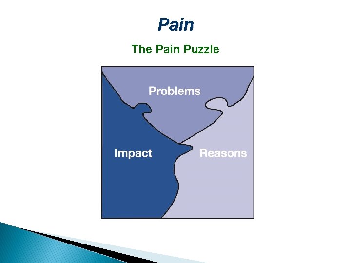 Pain The Pain Puzzle 