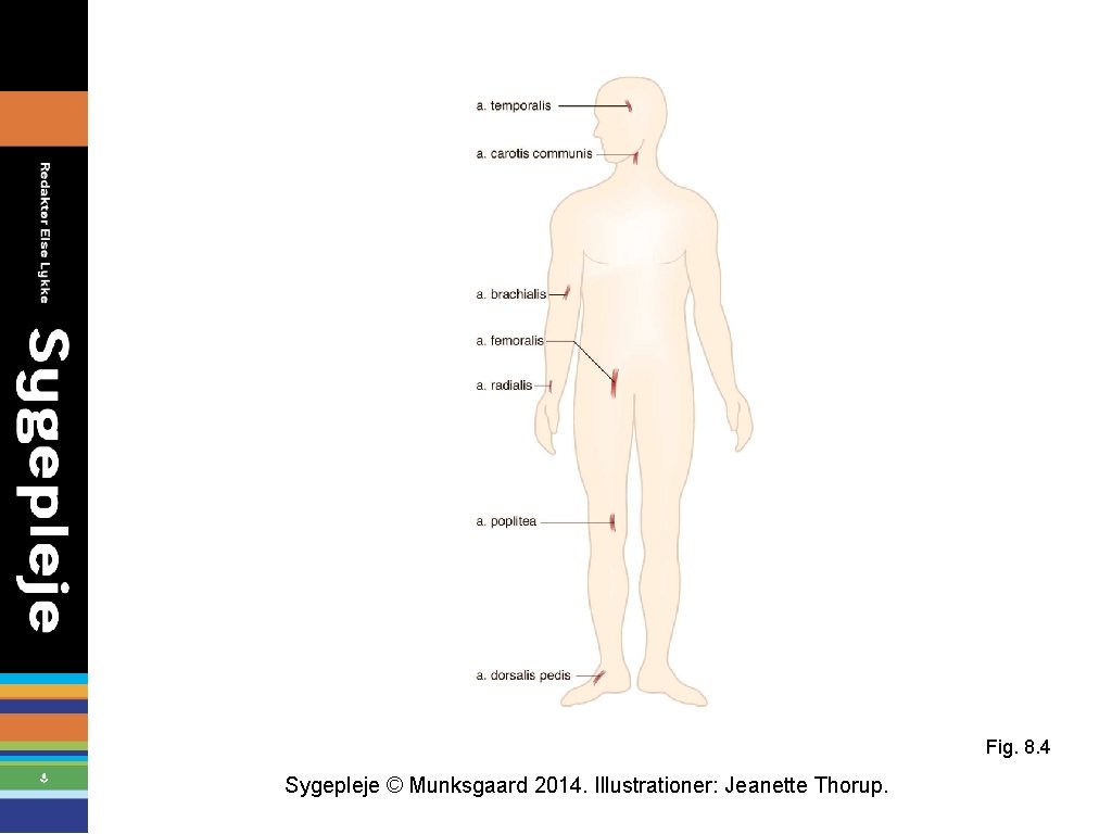 Fig. 8. 4 Sygepleje © Munksgaard 2014. Illustrationer: Jeanette Thorup. 