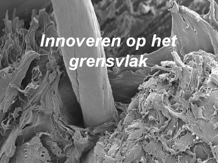 Innoveren op het grensvlak 