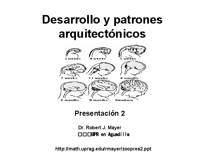 Desarrollo y patrones arquitectónicos Presentación 2 Dr. Robert J. Mayer ���UPR en Aguadilla http: