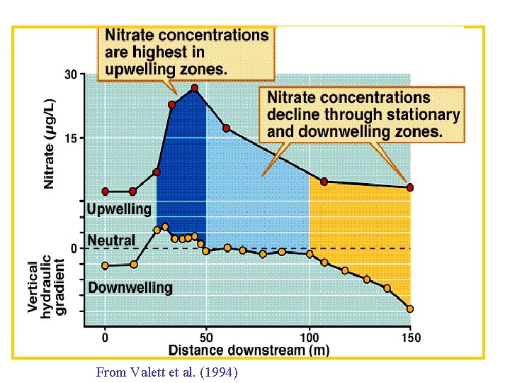 after Valett. From et al. Valett (1994)et al. (1994) 