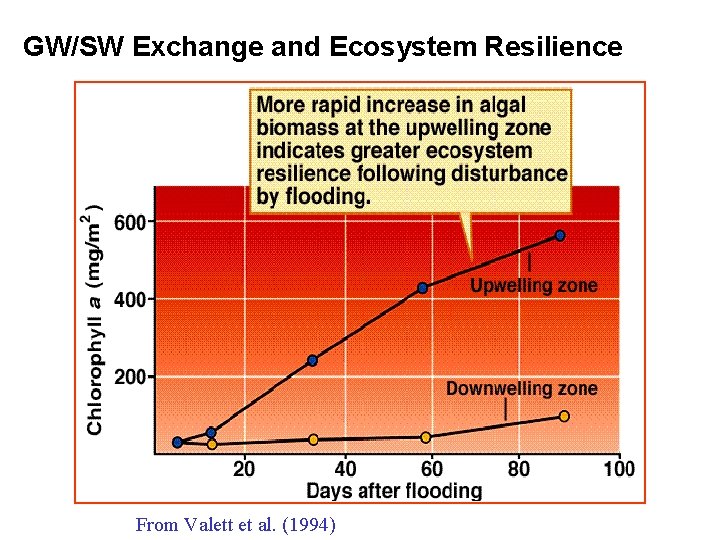 GW/SW Exchange and Ecosystem Resilience after Valett. From et al. Valett (1994)et al. (1994)
