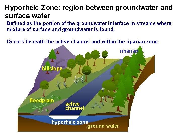 Hyporheic Zone: region between groundwater and surface water Defined as the portion of the