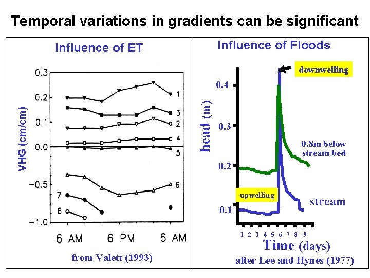 Temporal variations in gradients can be significant Influence of Floods Influence of ET downwelling