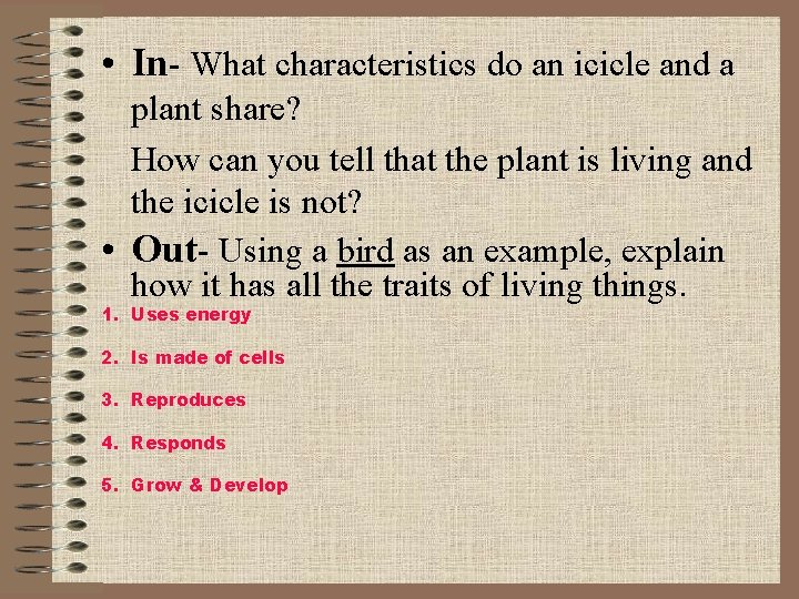  • In- What characteristics do an icicle and a plant share? How can
