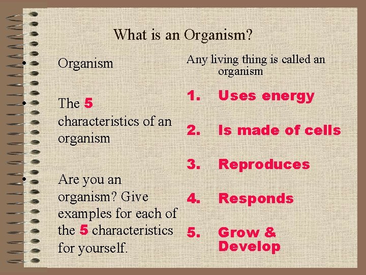 What is an Organism? • • • Organism The 5 characteristics of an organism