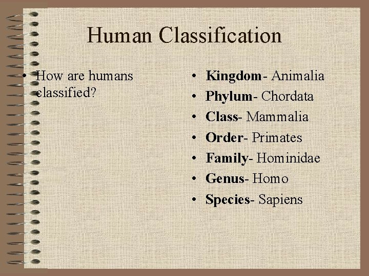 Human Classification • How are humans classified? • • Kingdom- Animalia Phylum- Chordata Class-
