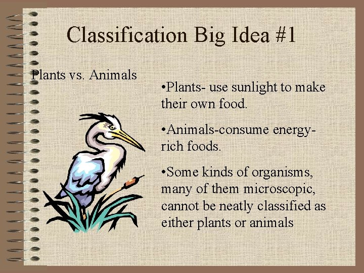 Classification Big Idea #1 Plants vs. Animals • Plants- use sunlight to make their
