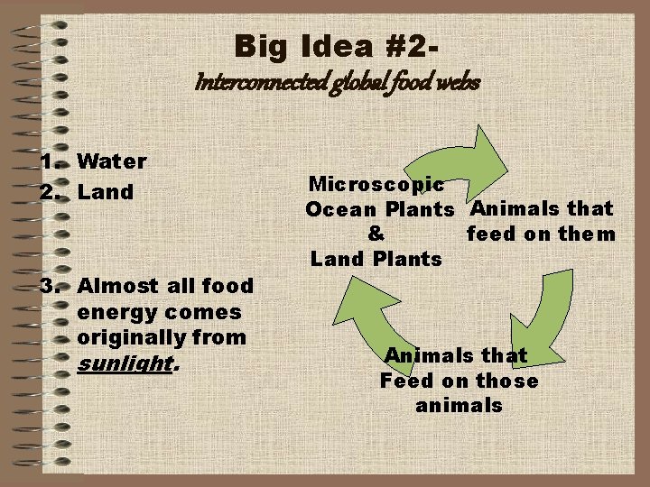 Big Idea #2 Interconnected global food webs 1. Water 2. Land 3. Almost all