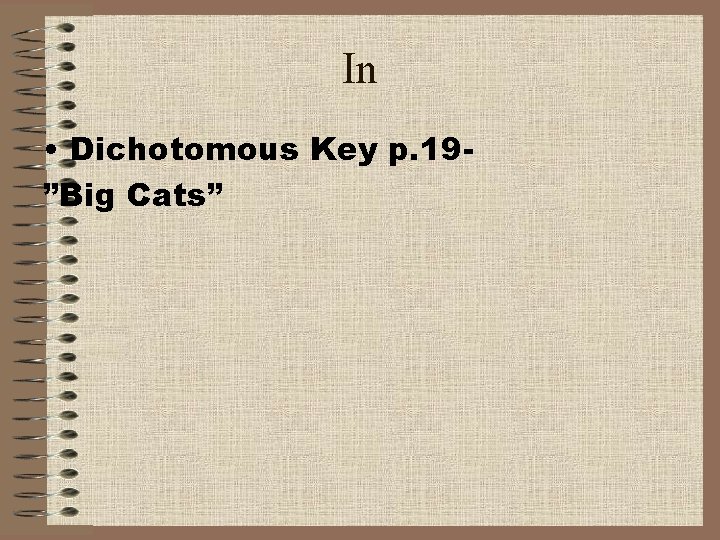 In • Dichotomous Key p. 19”Big Cats” 