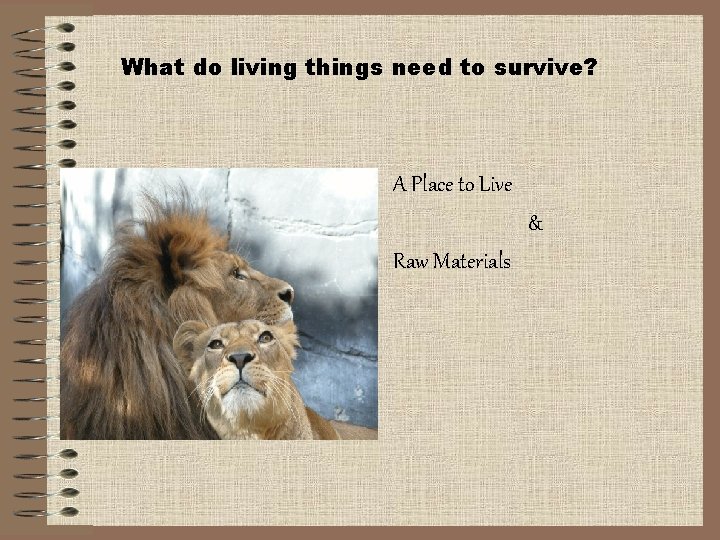 What do living things need to survive? A Place to Live & Raw Materials