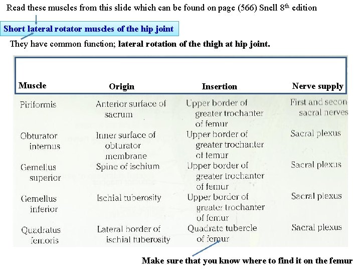 Read these muscles from this slide which can be found on page (566) Snell