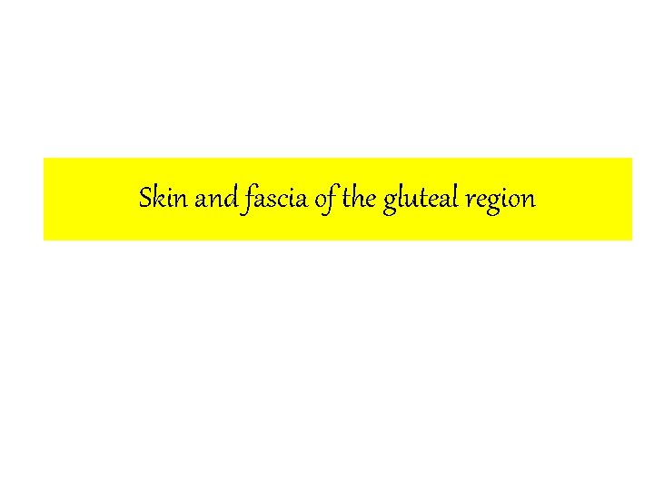 Skin and fascia of the gluteal region 