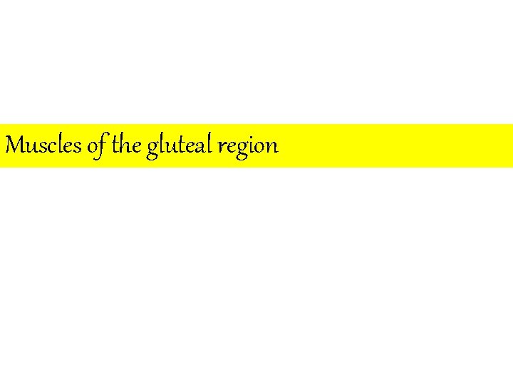 Muscles of the gluteal region 