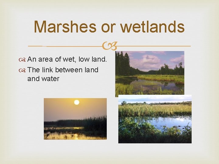 Marshes or wetlands An area of wet, low land. The link between land water