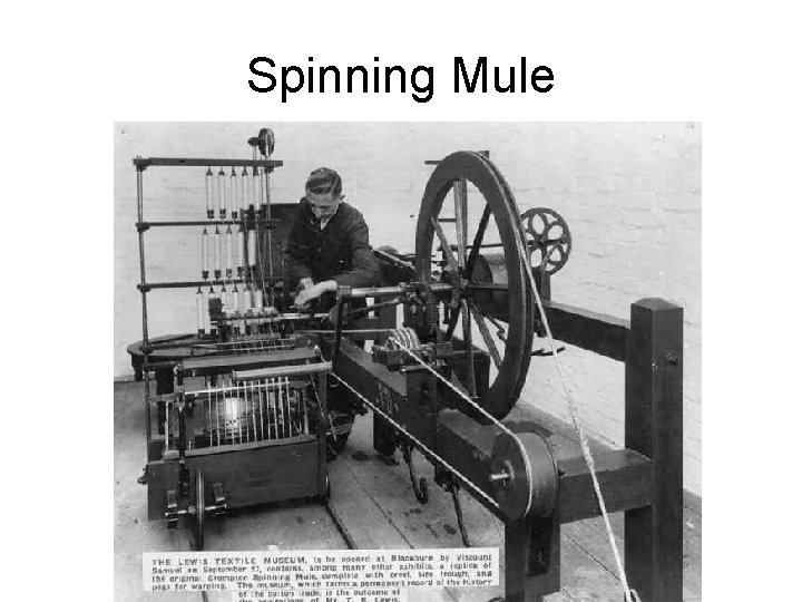 Spinning Mule 