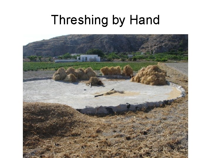 Threshing by Hand 