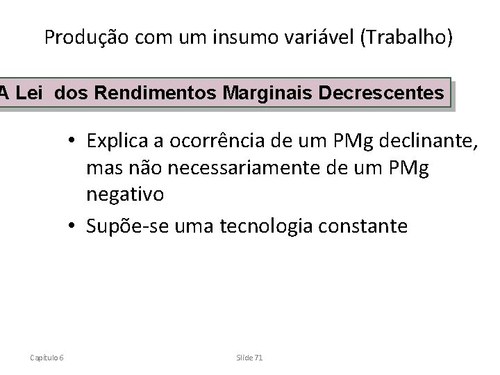 Produção com um insumo variável (Trabalho) A Lei dos Rendimentos Marginais Decrescentes • Explica