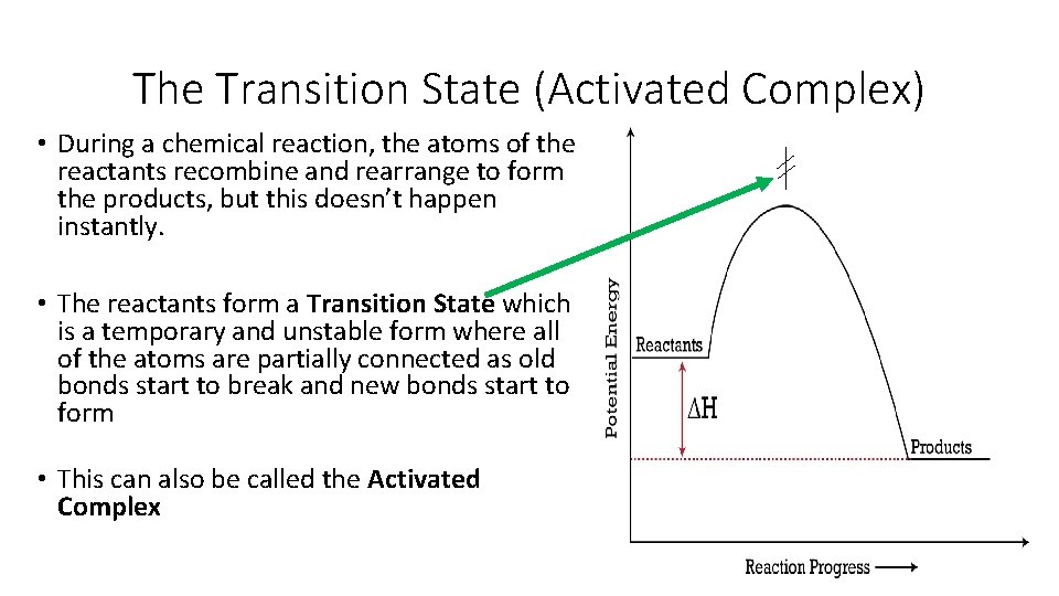 The Transition State (Activated Complex) • During a chemical reaction, the atoms of the