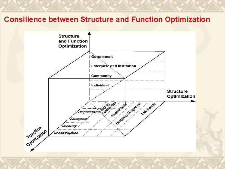 Consilience between Structure and Function Optimization 