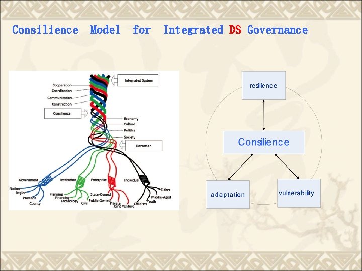 Consilience Model for Integrated DS Governance 