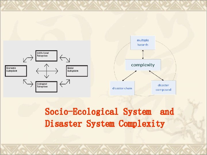 Socio-Ecological System and Disaster System Complexity 