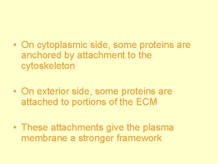  • On cytoplasmic side, some proteins are anchored by attachment to the cytoskeleton