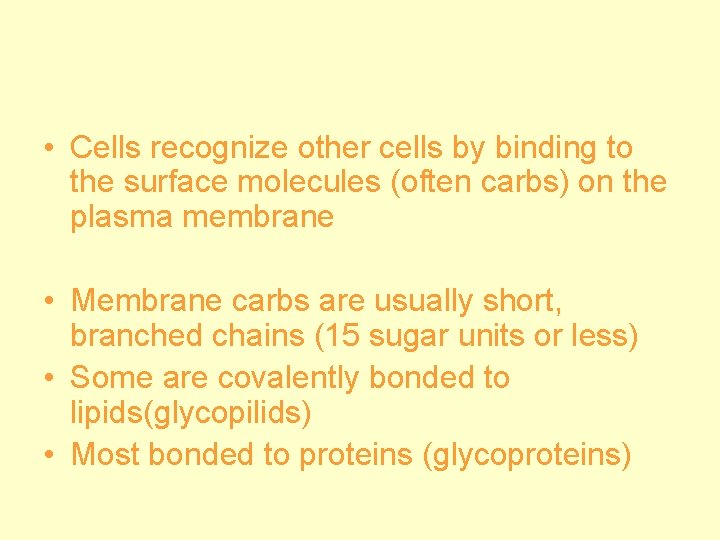  • Cells recognize other cells by binding to the surface molecules (often carbs)