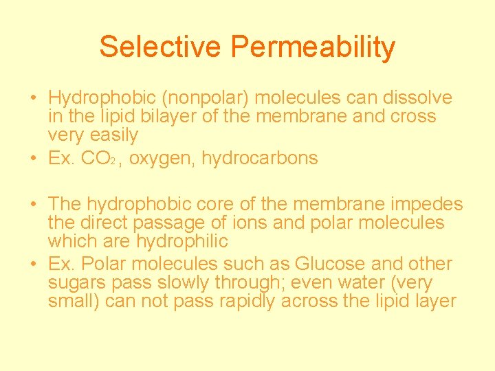 Selective Permeability • Hydrophobic (nonpolar) molecules can dissolve in the lipid bilayer of the