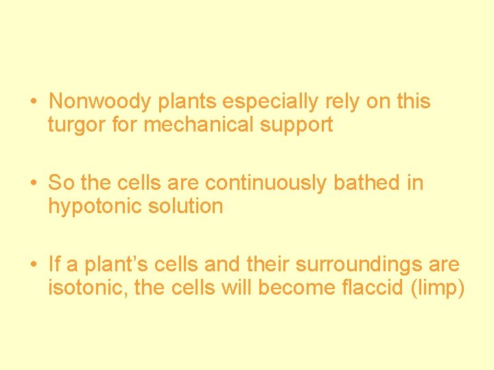  • Nonwoody plants especially rely on this turgor for mechanical support • So