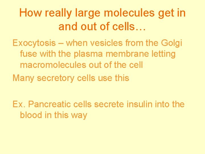 How really large molecules get in and out of cells… Exocytosis – when vesicles