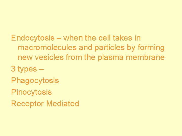 Endocytosis – when the cell takes in macromolecules and particles by forming new vesicles