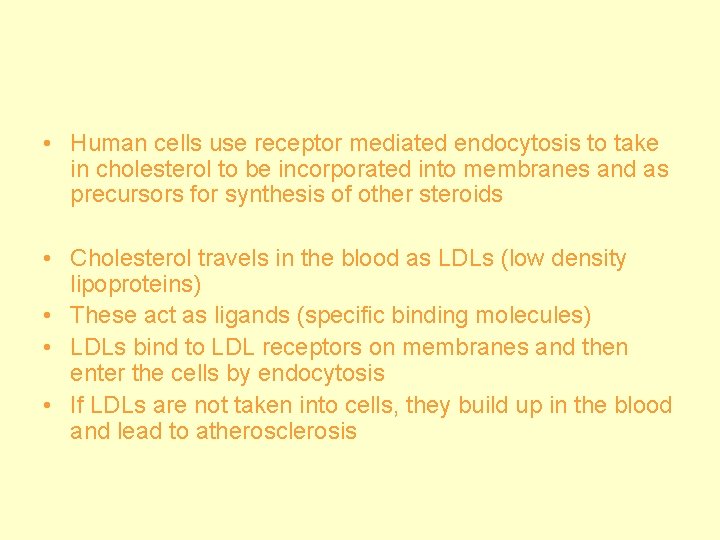  • Human cells use receptor mediated endocytosis to take in cholesterol to be