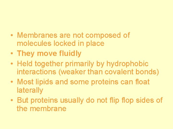  • Membranes are not composed of molecules locked in place • They move