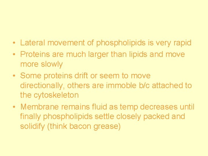  • Lateral movement of phospholipids is very rapid • Proteins are much larger