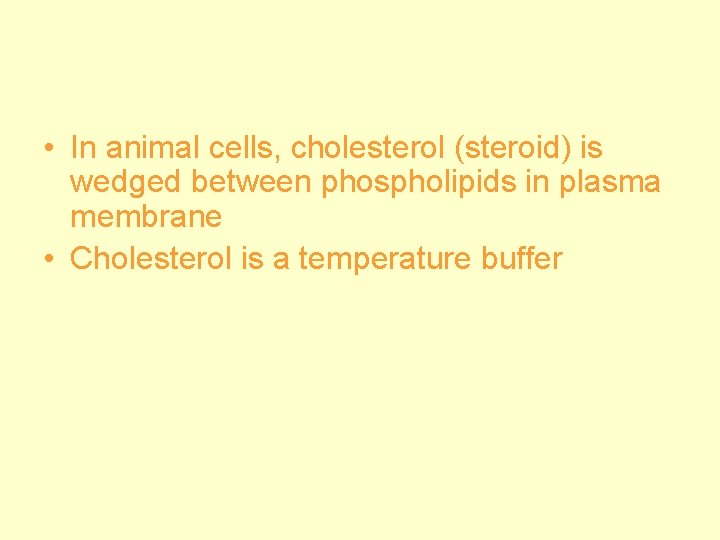  • In animal cells, cholesterol (steroid) is wedged between phospholipids in plasma membrane